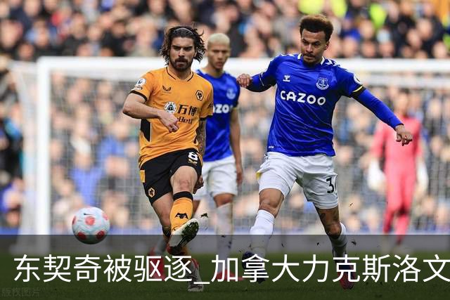 东契奇被驱逐 加拿大力克斯洛文尼亚晋级四强