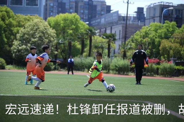 宏远速递！杜锋卸任报道被删，胡明轩或重返男篮，陈老板重要决定