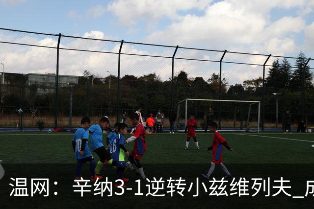 温网：辛纳3-1逆转小兹维列夫 成功卫冕夺生涯第五冠